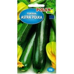 #1251 POLAN - Cuketa Astra Polka 