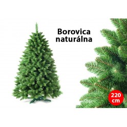 #0628 Borovica naturálna 220 cm