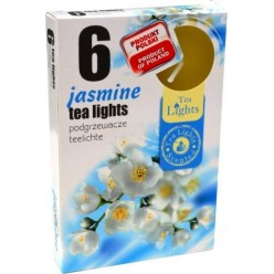 #0497 jasmine-600x901