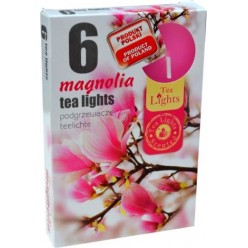 #0505 magnolia-600x890