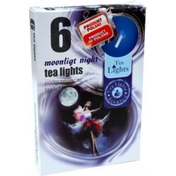 #0507 moonlight-night-600x903