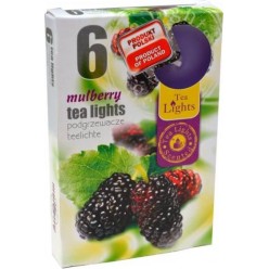 #0508 mulberry-600x901