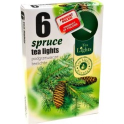 #0520 spruce-1