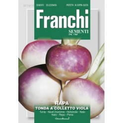 #1715 franchi-kvaka-tonda-a-colletto-viola-15g-1