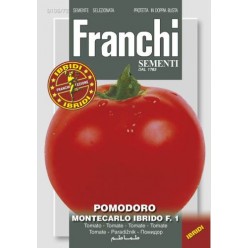 #1707 franchi-rajciak-tyckovy-montecarlo-f1-0,25g-1