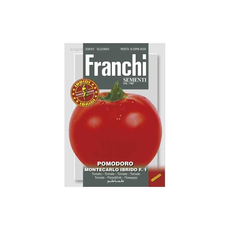 #1707 franchi-rajciak-tyckovy-montecarlo-f1-0,25g-1
