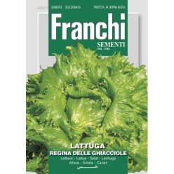 #1731 franchi-salat-ladovy-regina-delle-chiacciole-9g-1
