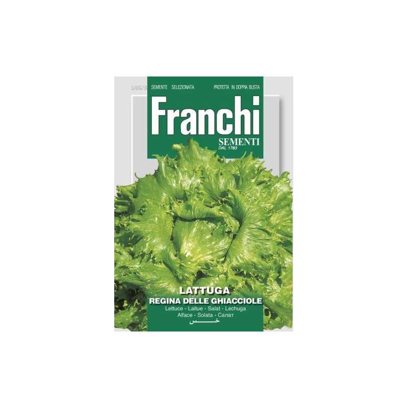 #1731 franchi-salat-ladovy-regina-delle-chiacciole-9g-1