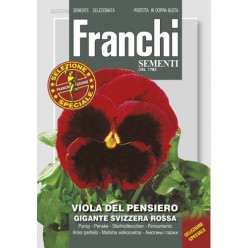 #1705 franchi-sirotka-velkokv.-svajciarska-obria-f1-1g-1