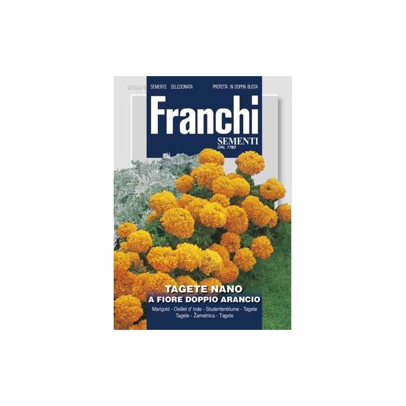 #1648 franchi-aksamietnica-nizka-oranzova-2g-1