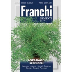 #1739 franchi-asparagus-sprengeri-0,75g-1