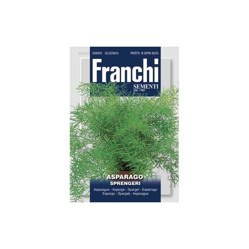 #1739 franchi-asparagus-sprengeri-0,75g-1