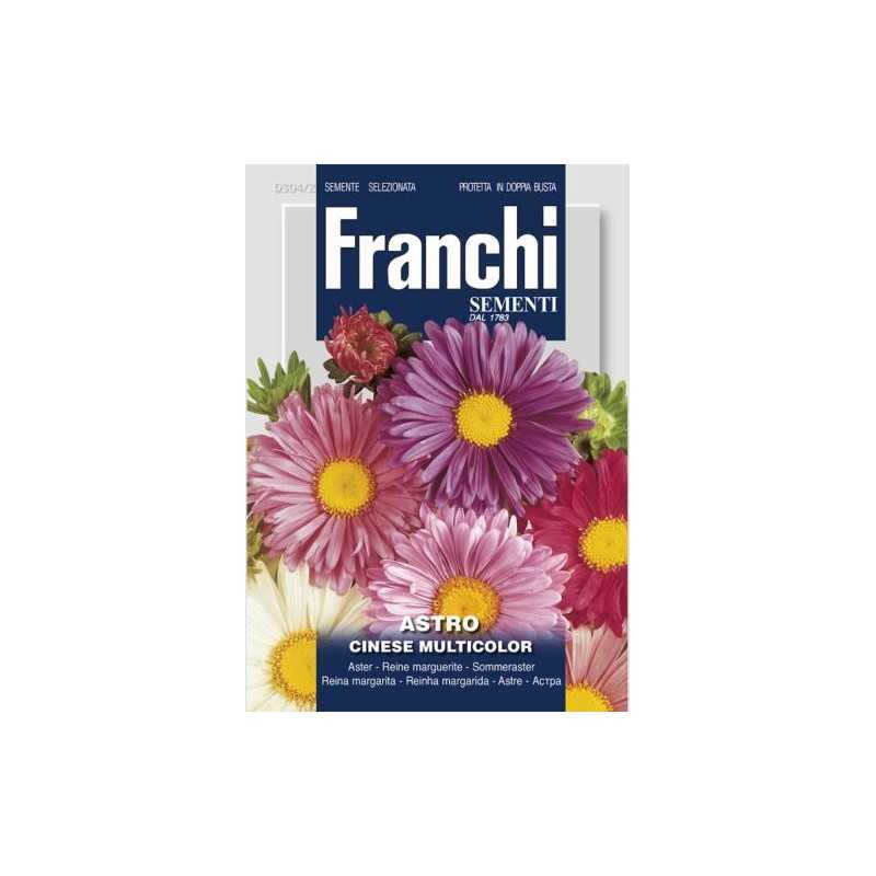 #1653 franchi-astra-cinska-multicolor-1g-1