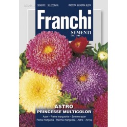 #1652 franchi-astra-princess-viacfarebna-2g-1
