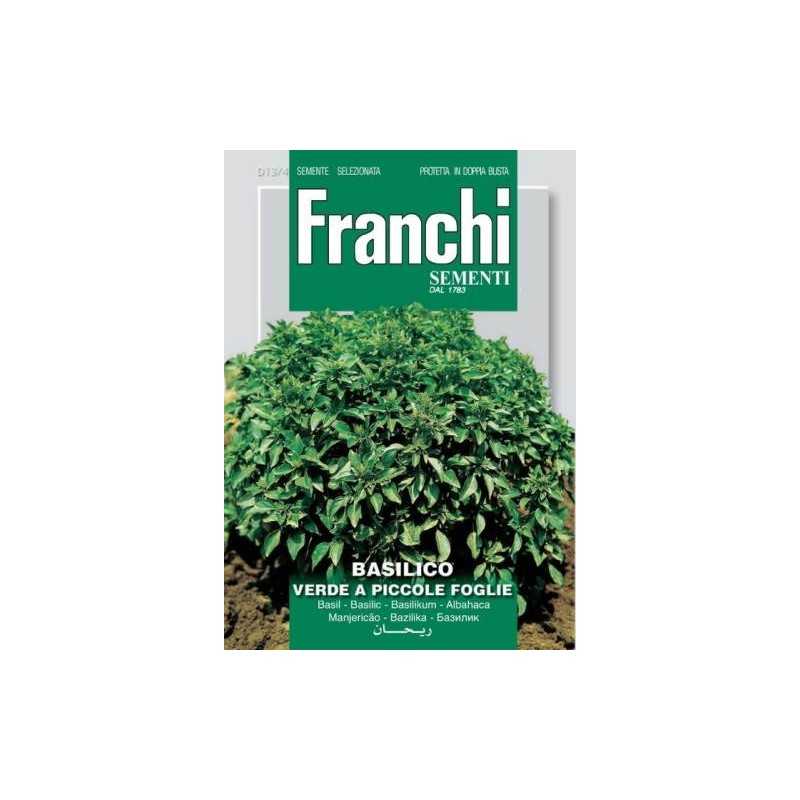 #1670 franchi-bazalka-male-zelene-listy-5g-1