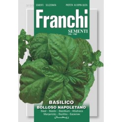 #1758 franchi-bazalka-bolloso-napoletano-8g-1