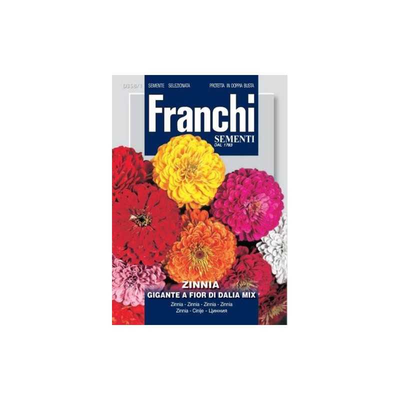 #1664 franchi-cinia-povabna-obrovska-viacfarebna-3g-1