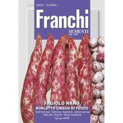 #1678 franchi-fazula-niz.-borl.-lingua-di-fuoco-s.-180g-1