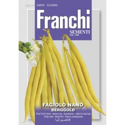 #1542 franchi-fazula-nizka-berggold-45g-1