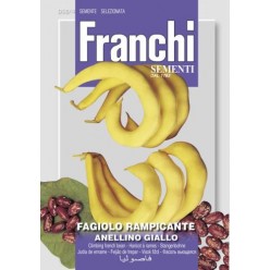 #1550 franchi-fazula-tahava-anellino-giallo-25g-1