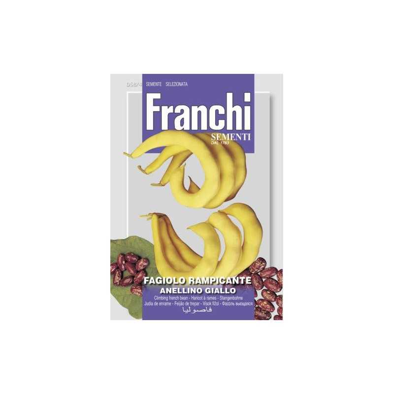 #1550 franchi-fazula-tahava-anellino-giallo-25g-1