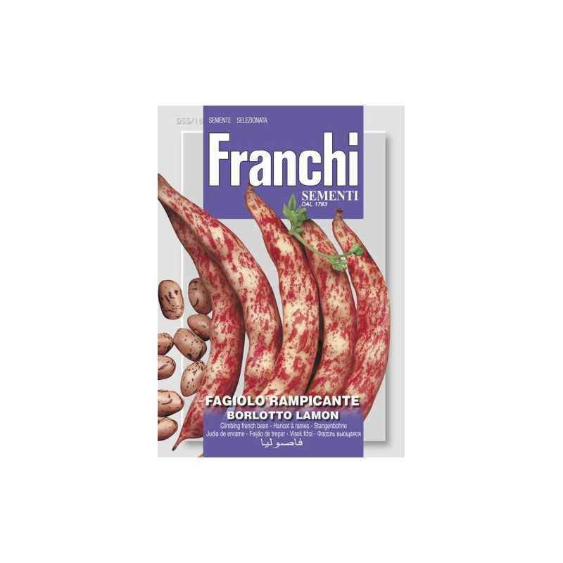 #1552 franchi-fazula-tahava-borlotto-lamon-35g-1