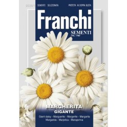 #1640 franchi-margareta-velkouborova-2g-1