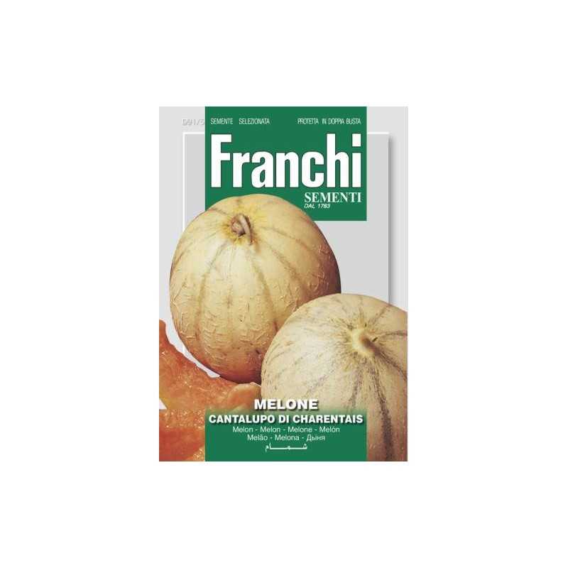 #1559 franchi-melón-cukrovy-cantalupo-di-charentaiss-5g-1
