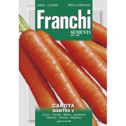 #1571 franchi-mrkva-nantes-2-9g-1