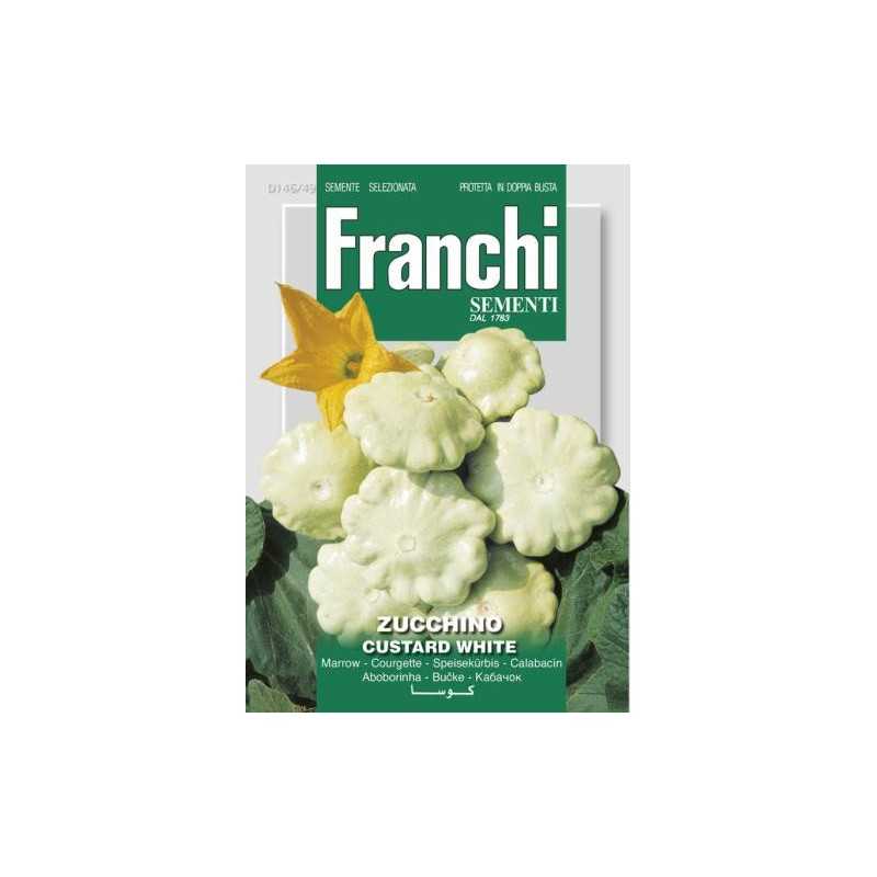#1579 franchi-patizón-custard-white-5g-1
