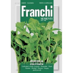 #1613 franchi-rukola-coltivata-15g-1