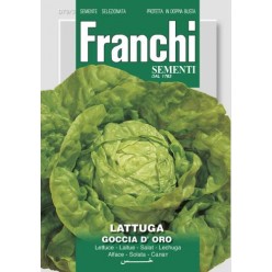 #1658 franchi-salat-hlavkovy-goccia-d-oro-8g-1