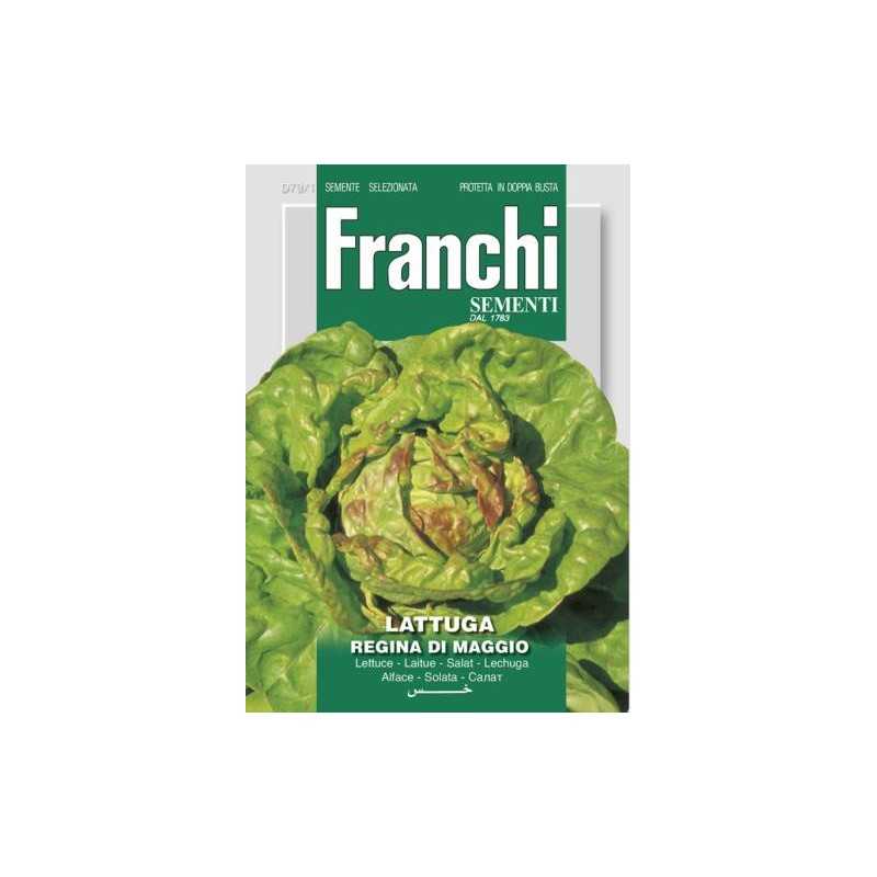 #1620 franchi-salat-hlavkovy-kral-maja-10g-1