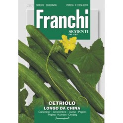#1629 franchi-uhorka-salatova-longo-da-china-3g-1