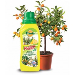 #0352 Planta Vit na citrusy