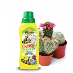 #0353 Planta Vit na kaktusy