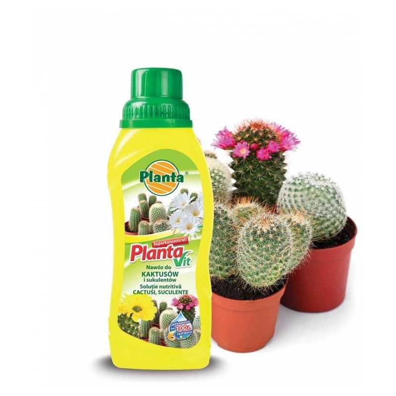 #0353 Planta Vit na kaktusy